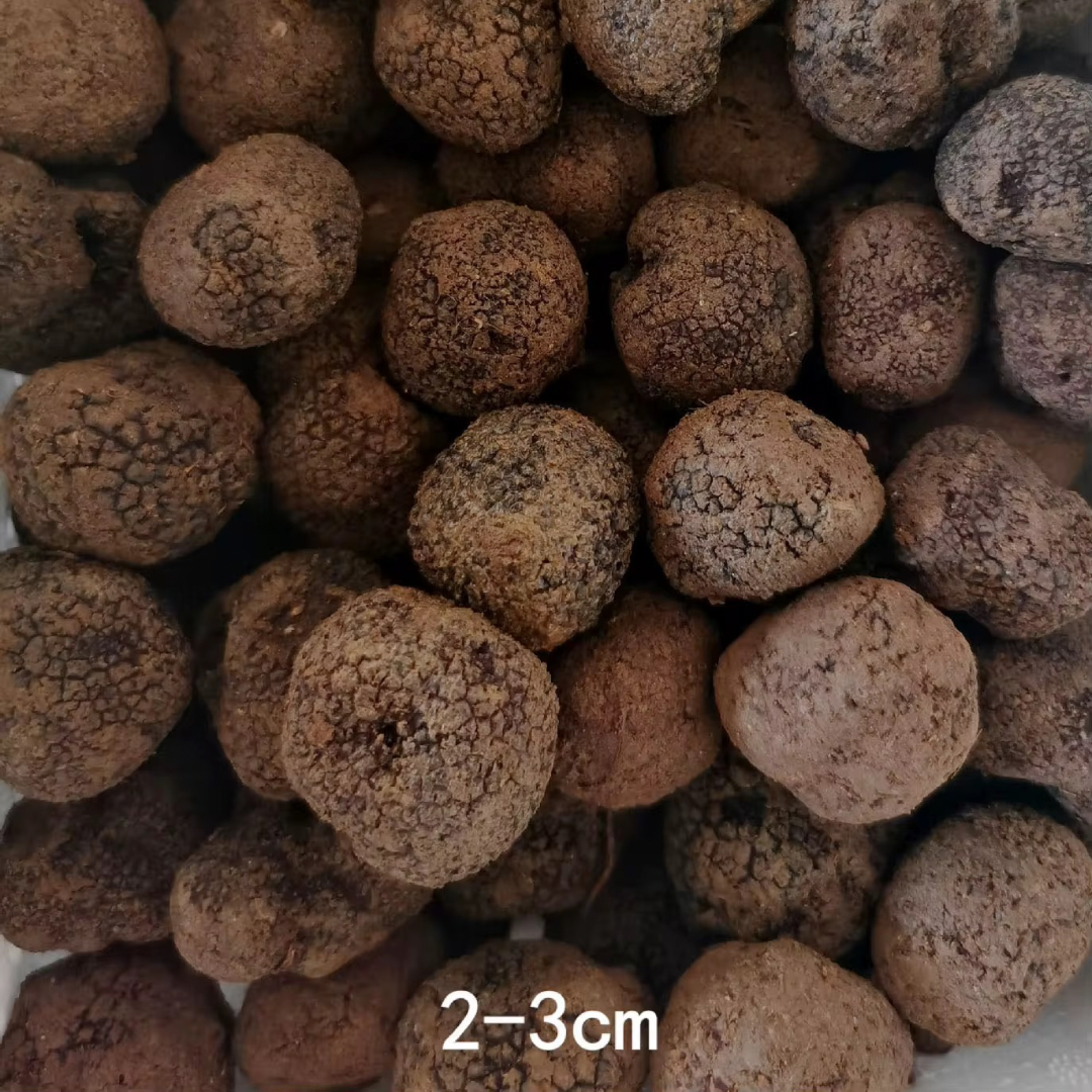 100% Natural Luxury Truffle Black Truffles per kg