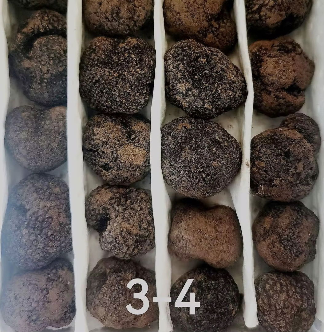 100% Natural Luxury Truffle Black Truffles per kg
