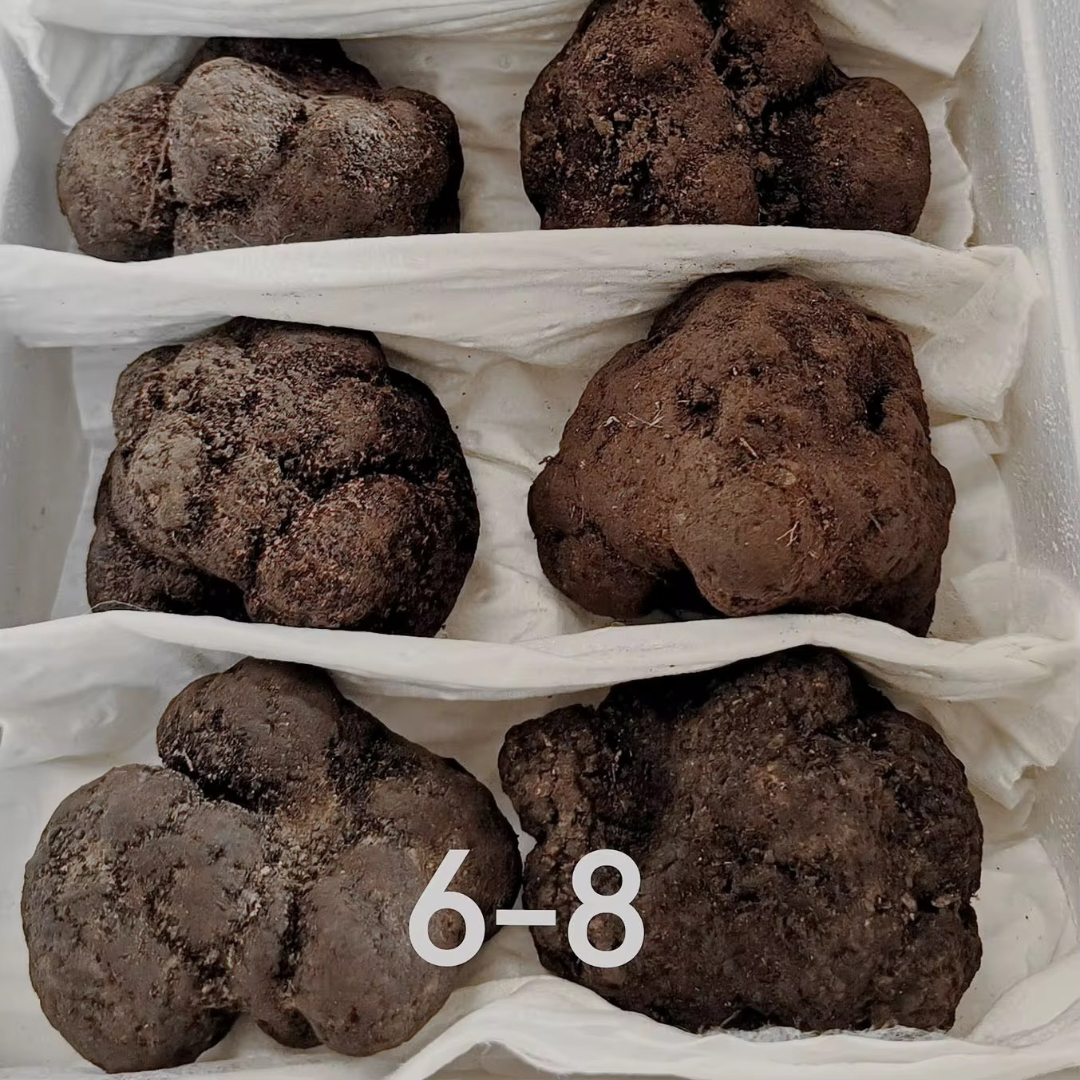 100% Natural Luxury Truffle Black Truffles per kg